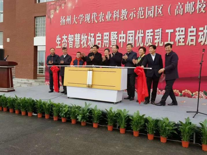 2025澳门原料网大全